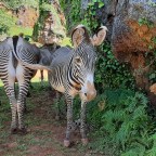 Van Holidays #1.Cabárceno