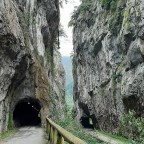 Van Holidays #5.Senda del oso