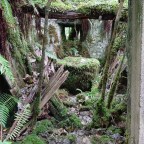 Van Holidays #8.Fragas do Eume. Playa finisterre.