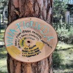 Van Holidays #14.Bosque mágico