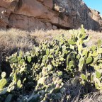 En busca de tesoros 💰