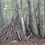 Bosque del Betato 🍃🍂