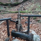 Hayedo de Salenque. Valle de Barrabes