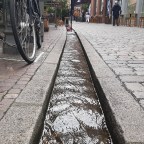 VH 2023.02.FRIBURGO 🇩🇪.Selva Negra