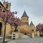 Escapada por Navarra 🏰