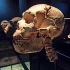 Fin de Semana en BURGOS